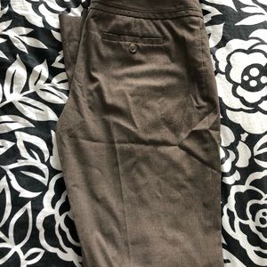 The limited brown grey straight leg dress pant